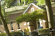 Student Organizations
