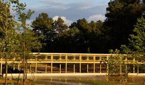 A view of the pedestrian bridge over the Village Creek