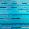 Swimming Season in Review