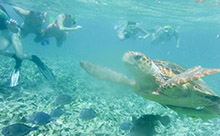 Belize