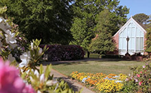 Spring Scenes