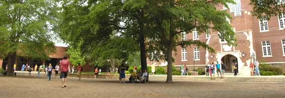 hendrix 115.jpg