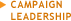 Campaign Leadership