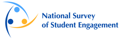 NSSE banner