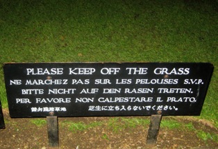 Grass