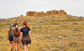 New Mexico2