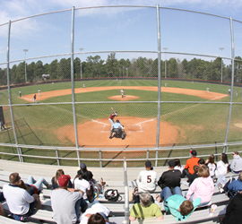 Click here to enter the photo gallery