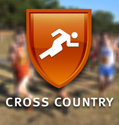 Cross Country Places 16th, 28th at D3 Regional