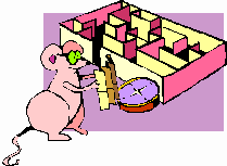 Rat Finding Its Way Through a Maze Rat Finding Its Way Through a Maze