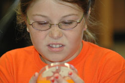 Student with bacteria culture