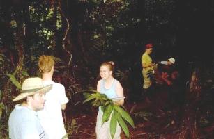 students in the rainforest