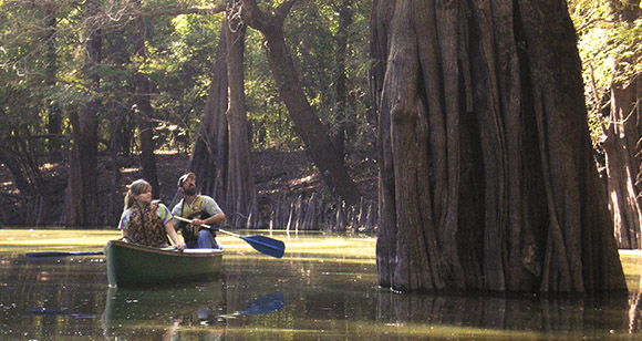 H Lake Canoe trail