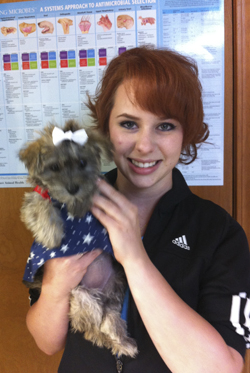 Hendrix Student Intern Gains Valuable Experience in Animal Care at Local  Clinic | Hendrix College