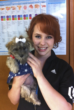 Hendrix Student Intern Gains Valuable Experience in Animal Care at Local Clinic | Hendrix College Hendrix Student Intern Gains Valuable Experience in Animal Care at Local Clinic | Hendrix College
