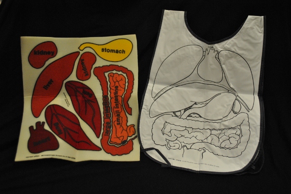 Anatomy Apron