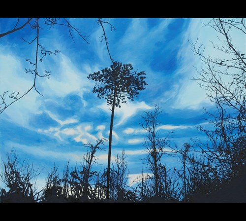 Pine