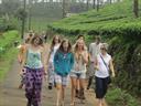 Kerala10 Kerala10