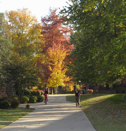 2006 Fall Photo 1